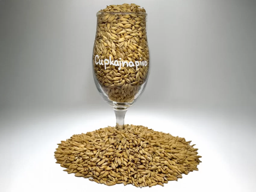 Carapils - Weyermann2