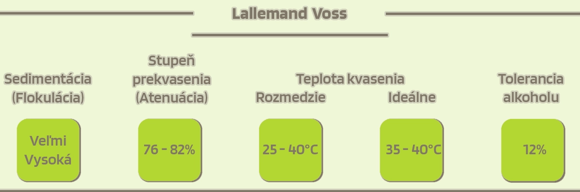 Lallemand Voss - popis