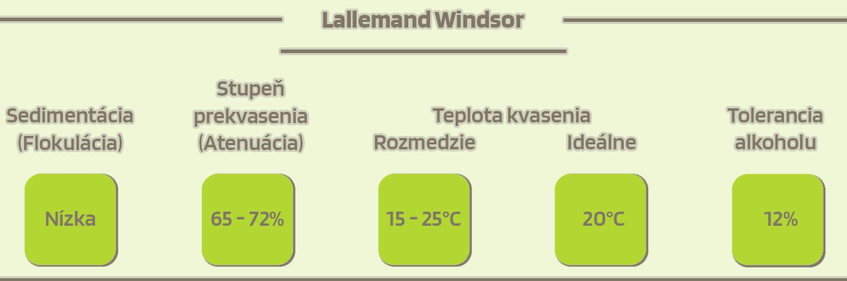 Lallemand Windsor - popis