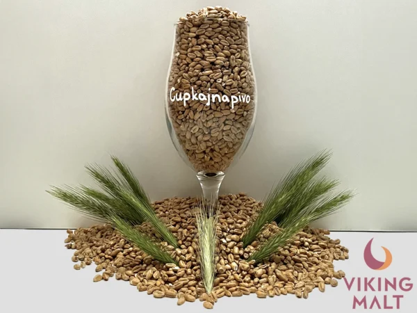 Pšeničný-viking-malt